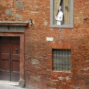 Siena